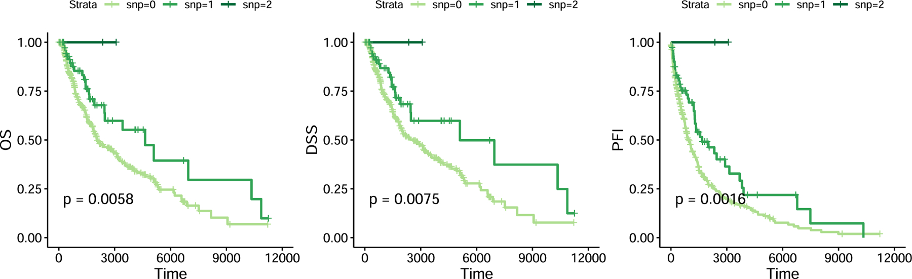 Kaplan-Meier overall survival, disease-specific survival, and progression-free survival in TCGA Melanoma patients stratified by IL7 germline variant carrier status — Groha Semenov Nature Medicine 2022